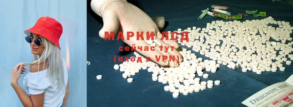 индика Иннополис