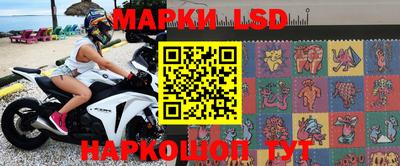 стаф Бийск