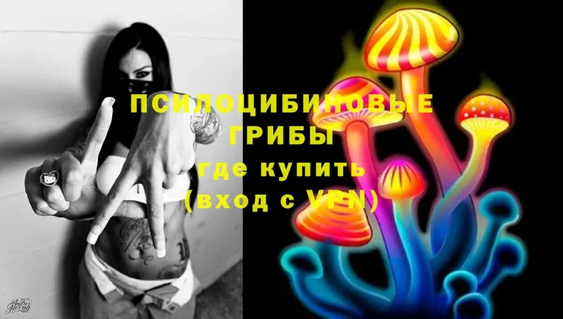 Галлюциногенные грибы Cubensis  Елец 