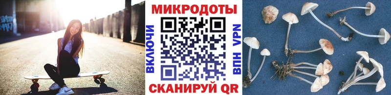 купить наркотик  Елец  Псилоцибиновые грибы Magic Shrooms 