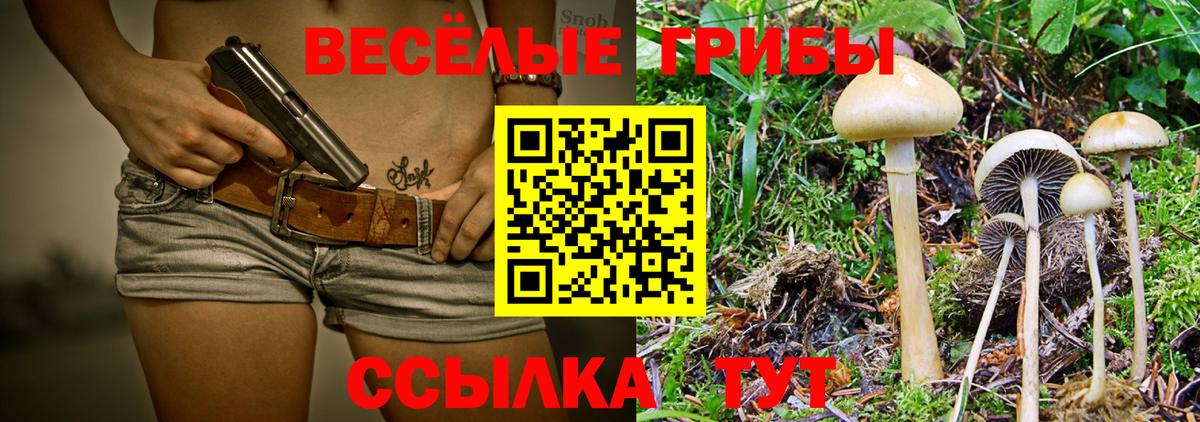 Галлюциногенные грибы Magic Shrooms  купить наркотик  Елец  Галлюциногенные грибы прущие грибы 
