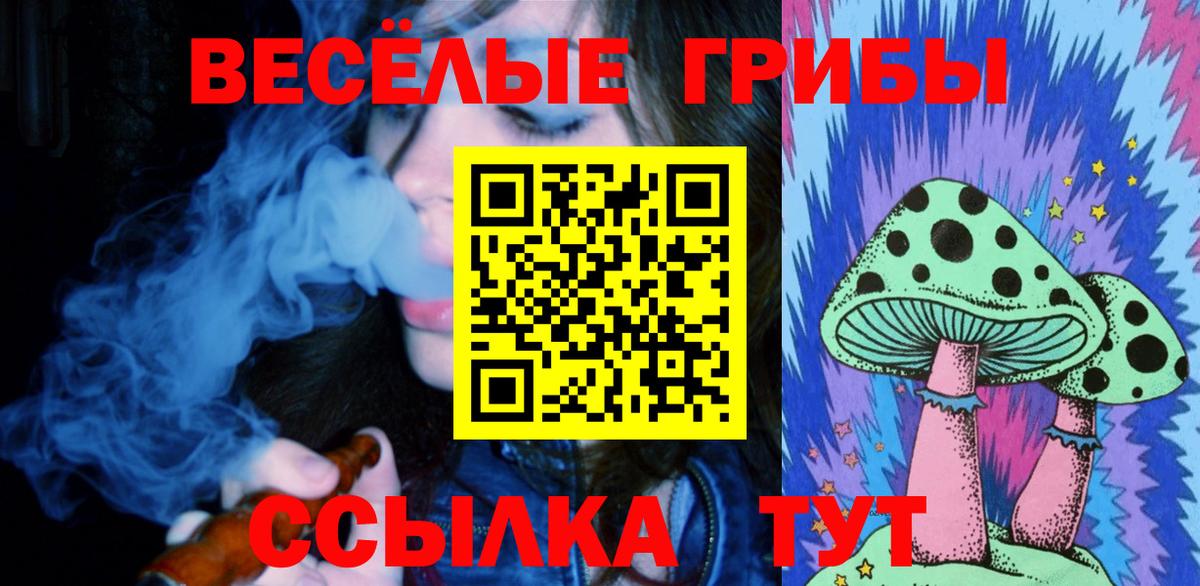 Галлюциногенные грибы прущие грибы Елец